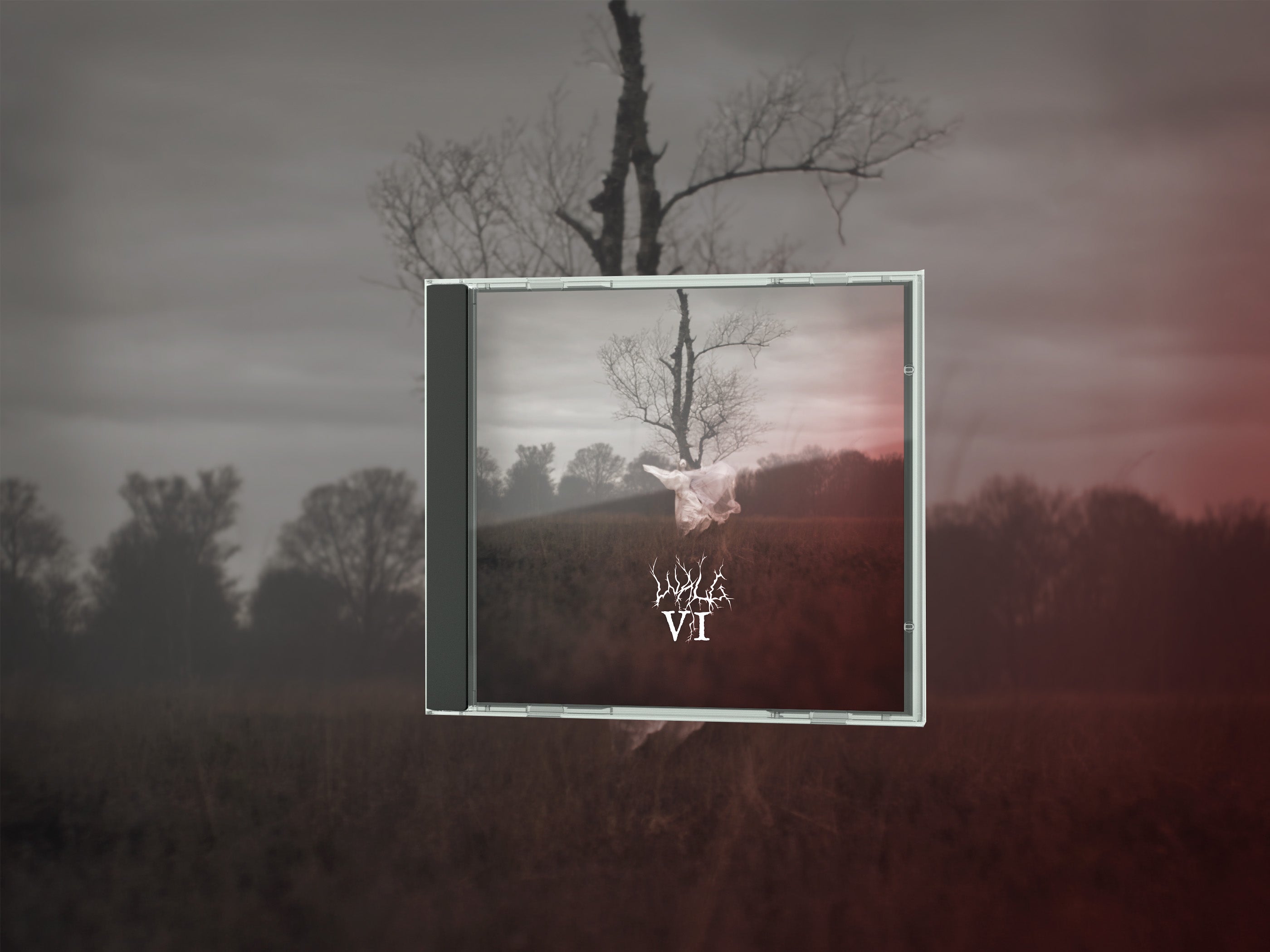VI Limited Edition Compact Disc (pre-order)